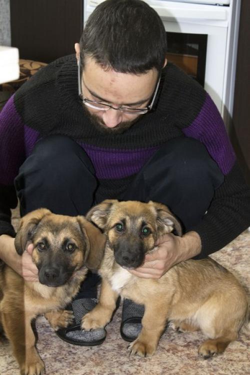 Ну вот мы и побывали в гостях у братьев зевса и тора. 02