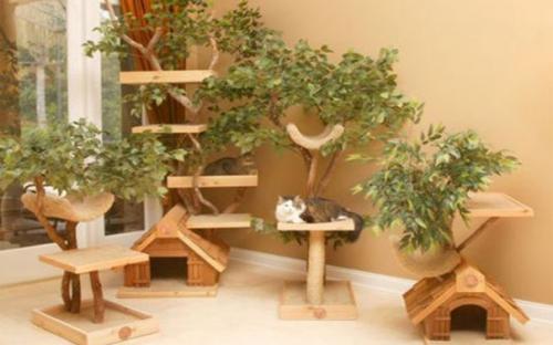 Бизнес - идея: производство мебели для домашних животных. 05