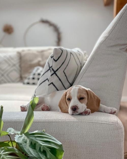 Домашний тур по мансардной квартире с красивой кухней с деревянными фасадами. 04