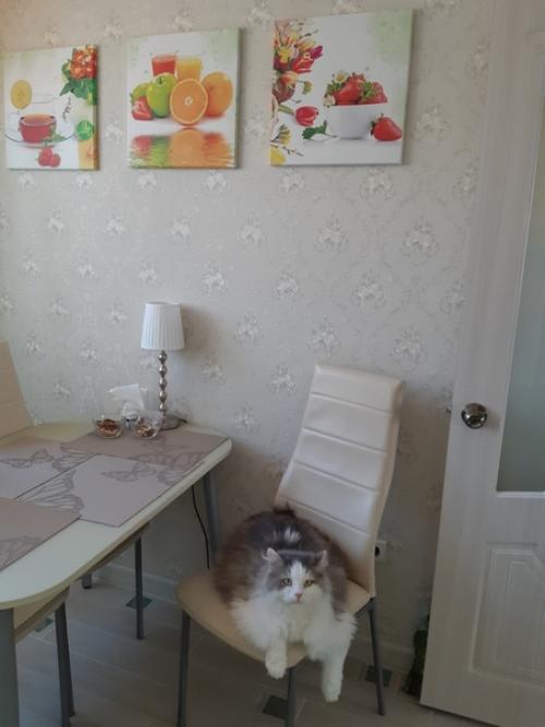 От нашей подписчицы. 01