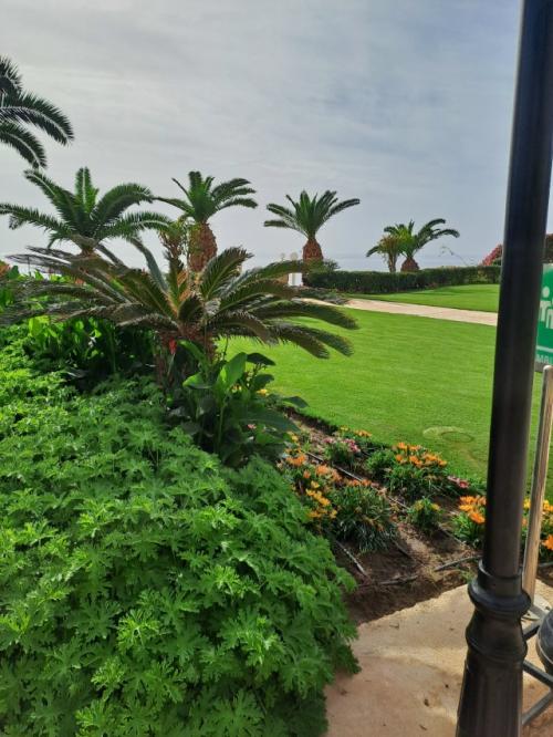 Наконец то дошли руки до написания поста про отель.  