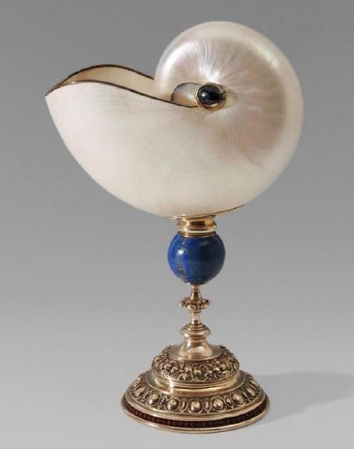 Творение природы с золотым сечением Nautilus Pompilius. 06