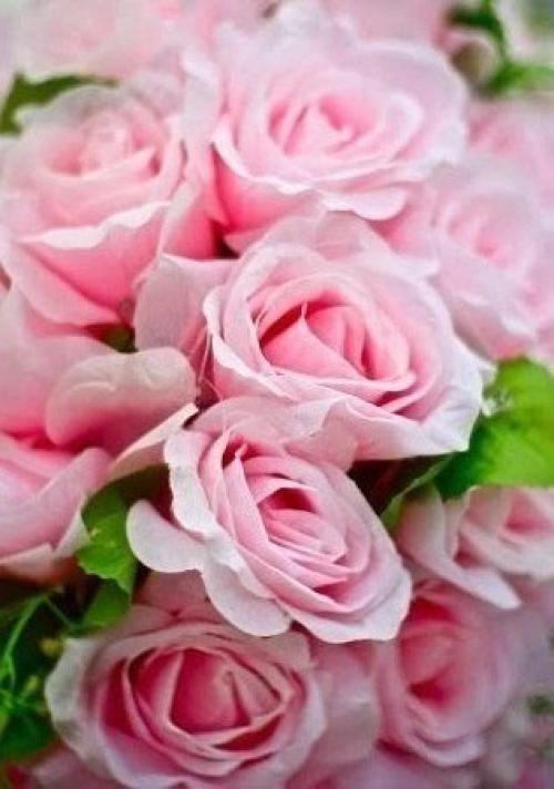 Счастье - это маленькие мгновения. 03