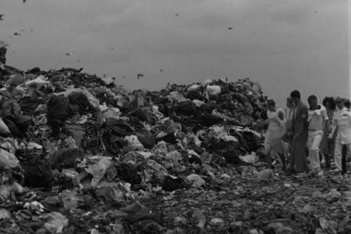 Воспоминания о звездной пыли / Stardust Memories / 1980 / Вуди Аллен. 02