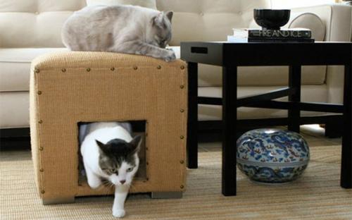 Бизнес - идея: производство мебели для домашних животных. 01