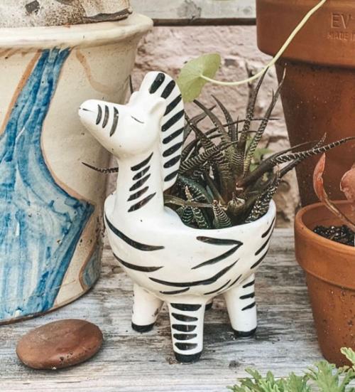 Эти забавные кашпо станут отличным подарком для любителей растений. 07