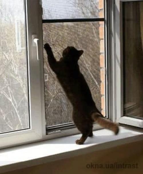 Сетка на раздвижное алюминиевое остекление балкона. 06