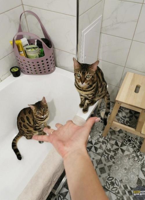 До и после ремонта. 03