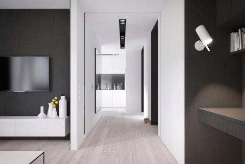 Функциональный дизайн 2-комнатной квартиры 50 кв. 02