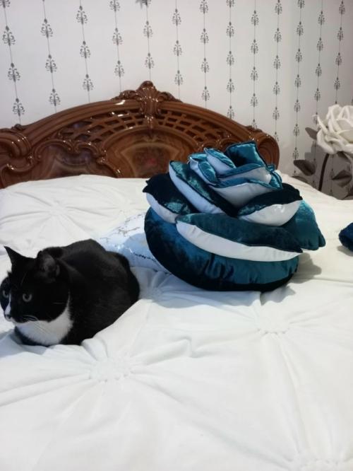 А теперь немного другого плана подушка - цветок. 03