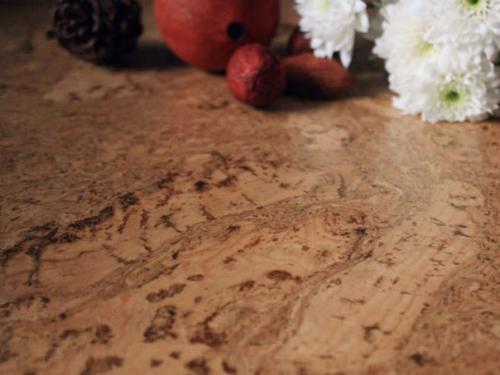 Пробковое покрытие в интерьере. 03