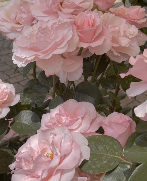 Вещи, наполняющие женской энергией: 02