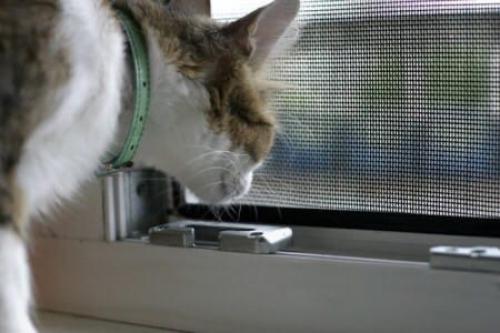 Сетка на раздвижное алюминиевое остекление балкона. 09