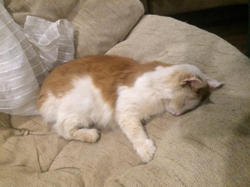 Я долго о кресле из ротанга мечтала. 02