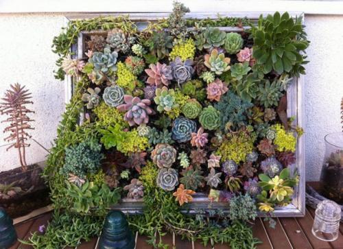 Вертикальное озеленение в квартире. 05