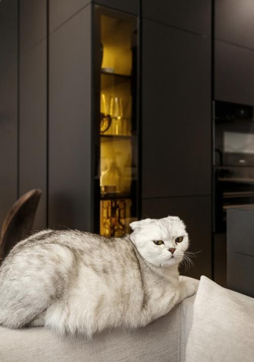 Двухуровневые апартаменты 110 м в Днепре ч. 1. 01