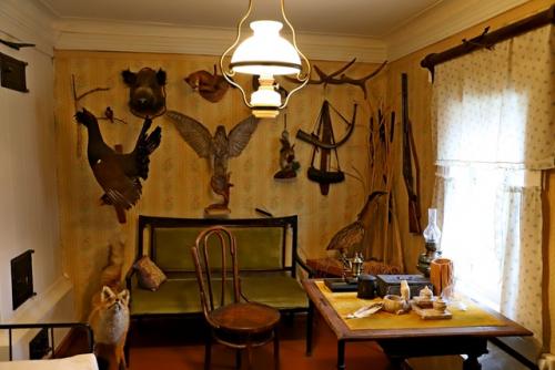 Рязань.  Дом академика и. П. павлова. 08