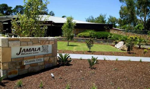 Ardova_путешествие Ardova_картинки. 01