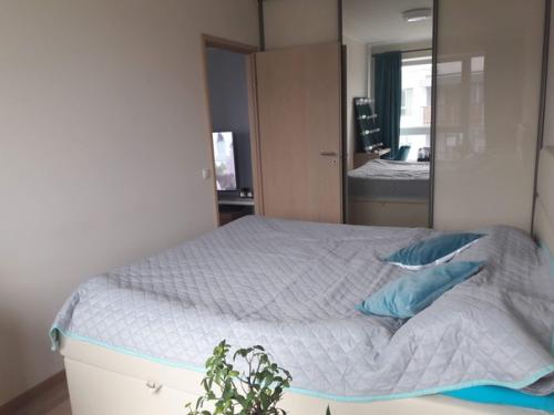 Моя квартира.  Чего не хватает? 06