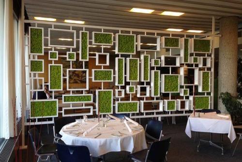 Вертикальное озеленение в квартире. 02