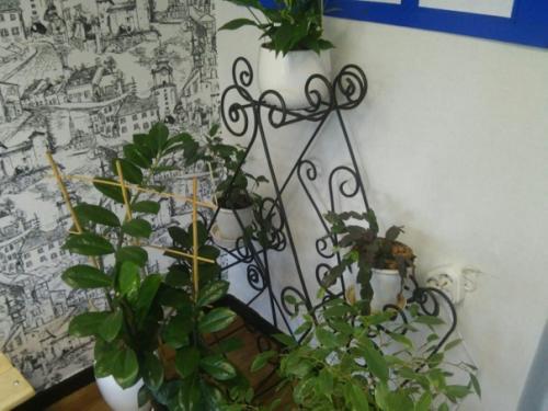 Предлагаю вашему вниманию работы по художественной ковке. 07