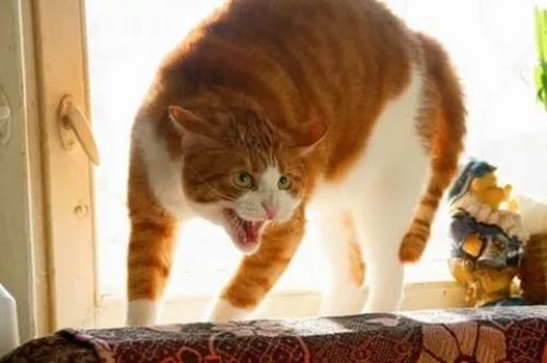 В конце, я плакал! 

