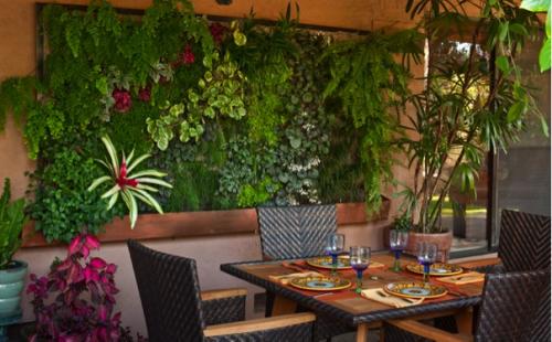 Вертикальное озеленение в квартире. 04