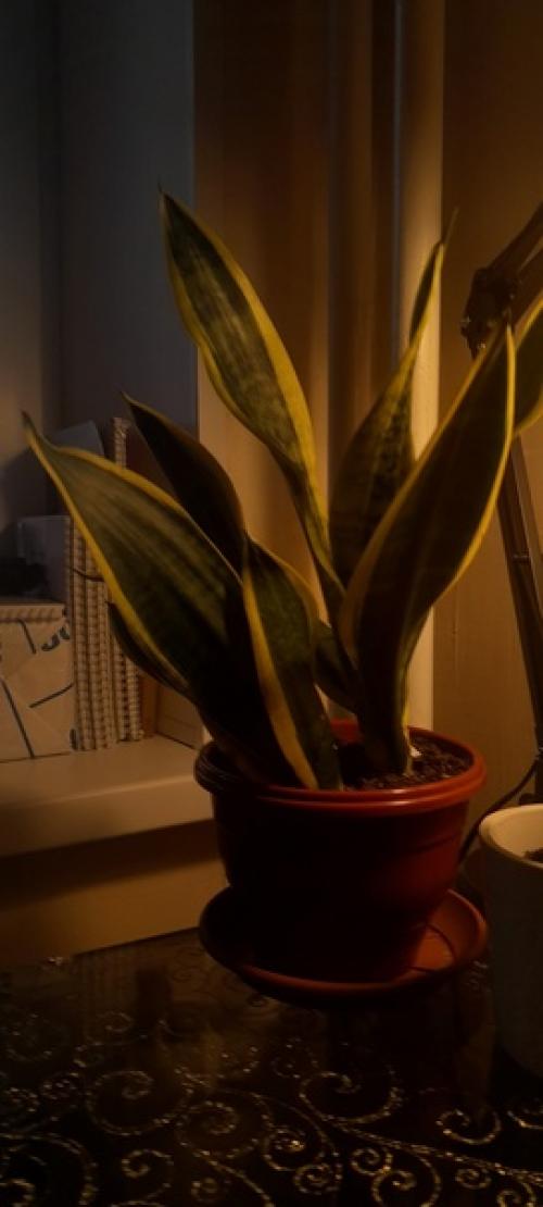 Мне так хорошо сейчас, даже не представляете. 02