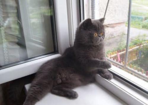 Сетка на раздвижное алюминиевое остекление балкона. 07