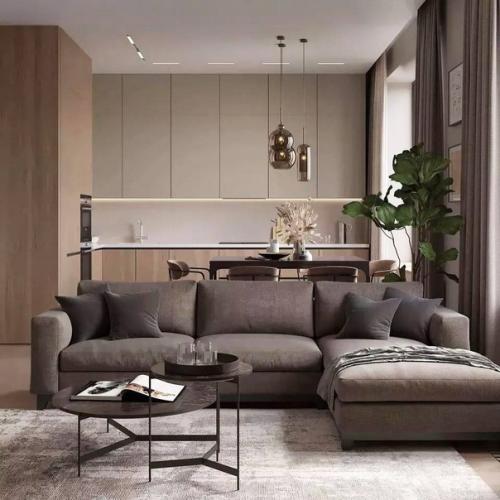 Кухня - гостиная площадью 23 кв. 03