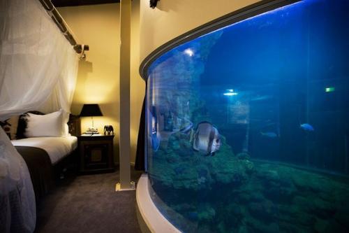 Ardova_путешествие Ardova_картинки. 08