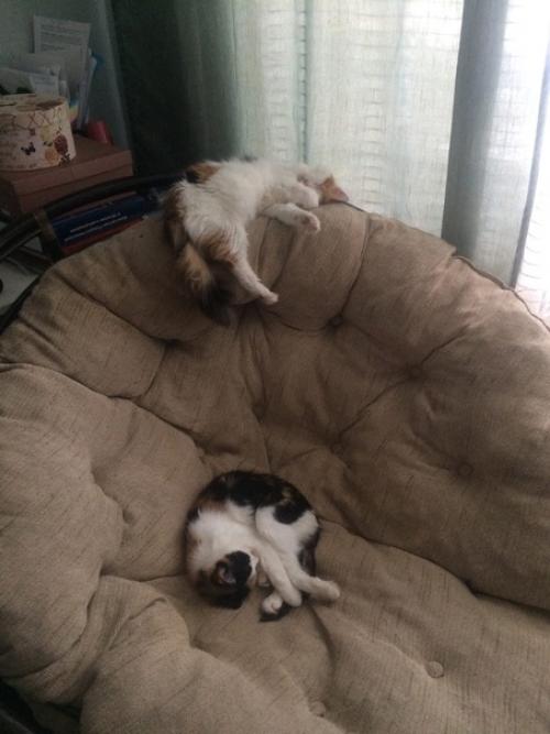 Я долго о кресле из ротанга мечтала. 06