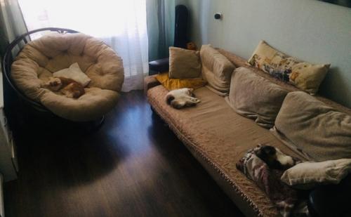 Я долго о кресле из ротанга мечтала. 04