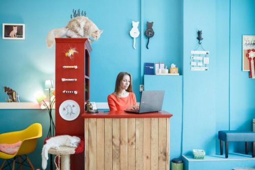 8 ресторанов - аттракционов Москвы. 05