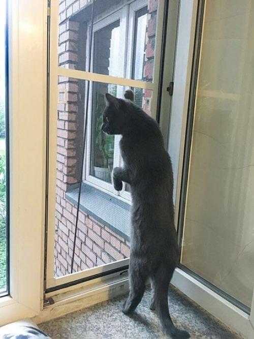 Сетка на раздвижное алюминиевое остекление балкона. 05