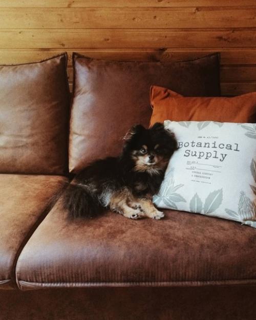 У нашего домика нет определённого стиля. 05