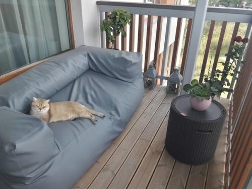 Моя квартира.  Чего не хватает? 03