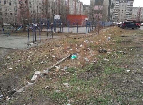 Когда ты не можешь равнодушно смотреть на мусор за окном. 01