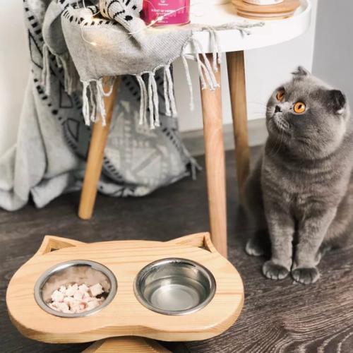 Как спроектировать и организовать интерьер, если в вашем доме живет кошка. 01