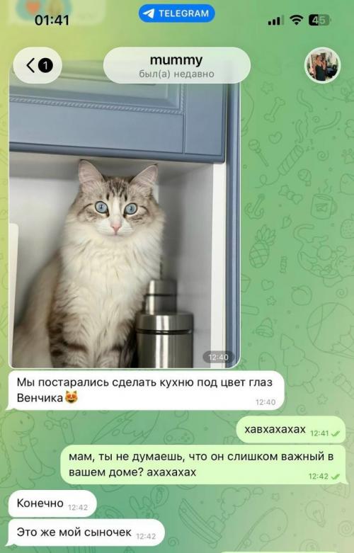 Женщина обновила интерьер кухни, подобрав краску точно под цвет глаз своего кота, хотя изначально была категорически против питомца. 01