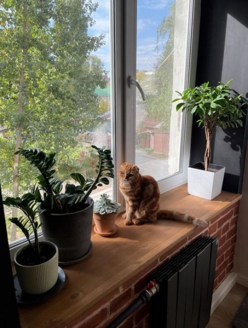 Стильный интерьер кухни и гостиной в сталинке. 07