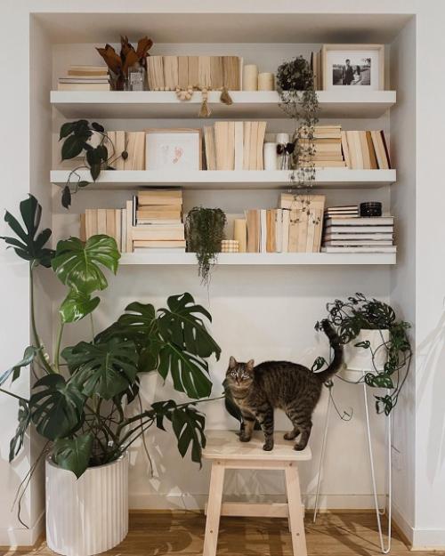 Современный скандинавский дом с мебелью икеа и зелёными растениями. 02