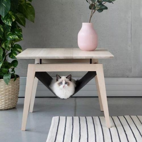 Как спроектировать и организовать интерьер, если в вашем доме живет кошка. 03