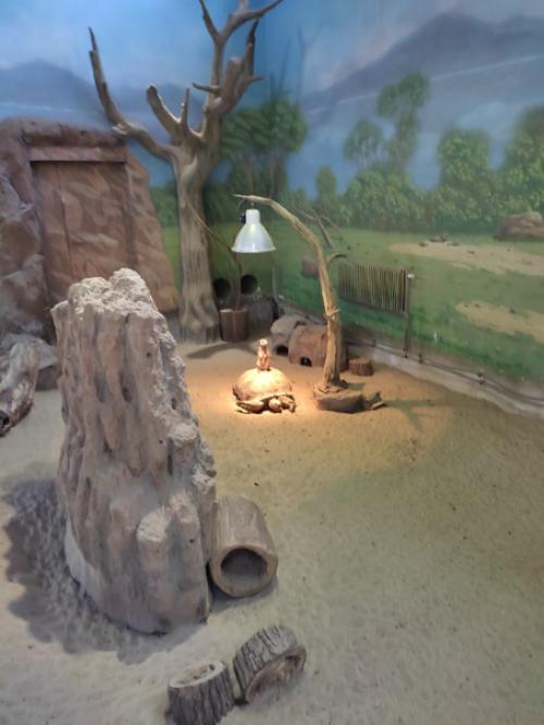 Казань встретила нас солнышком, а проводила дождём и снегом. 01