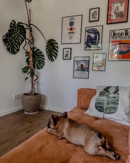 Стильный интерьер кухни и гостиной в сталинке. 06