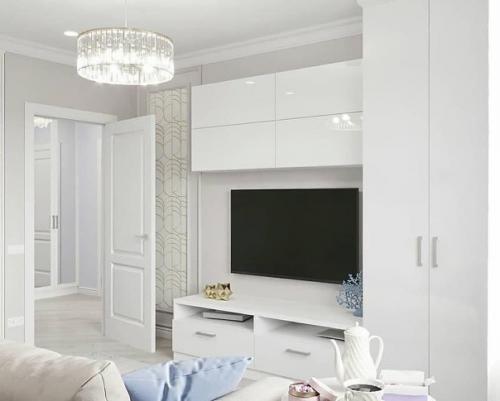 Однокомнатная квартира в холодной цветовой гамме. 02