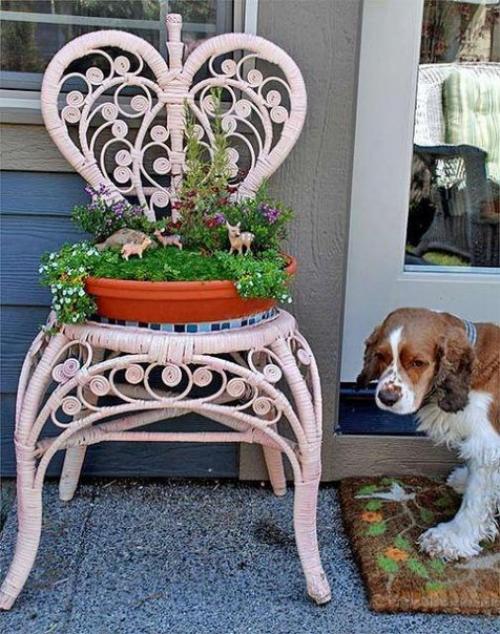 Клумба из стула своими руками для сада и дачи? 05