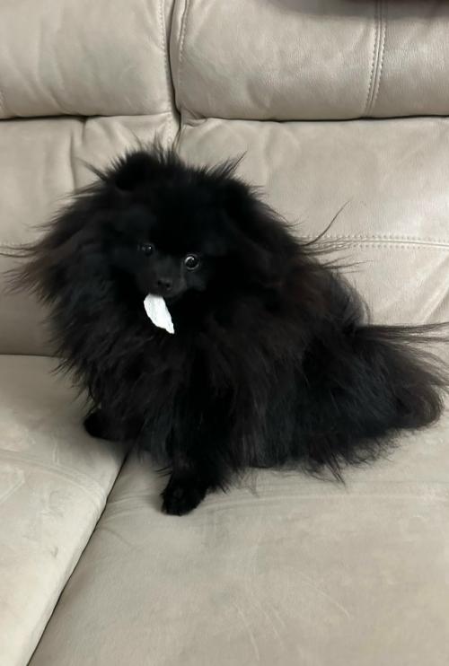 Да!  Я!это была   