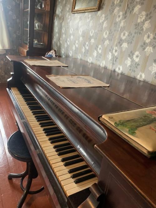 Священная болезнь и таинственный дом со своей особой атмосферой известного русского писателя и прозаика конца 19 века Глеба успенского. 05