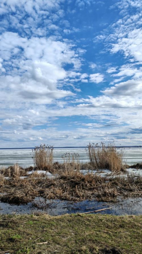 Г. ростов великий. 05